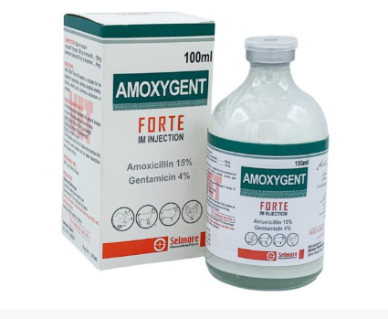 Amoxygent Forte Injection (IM)