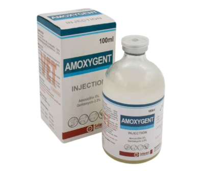 Amoxygent Injection
