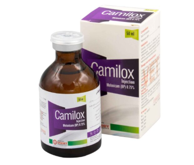 Camilox Injection