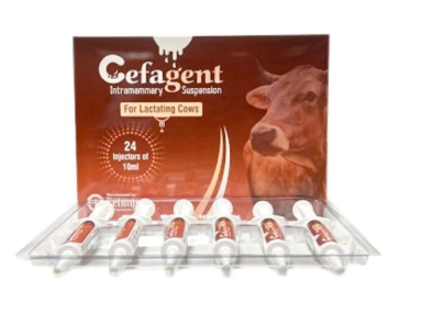 Cefagent Intramammary Suspension (for Lactating cows)