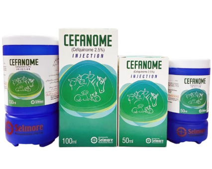 Cefanome Injection