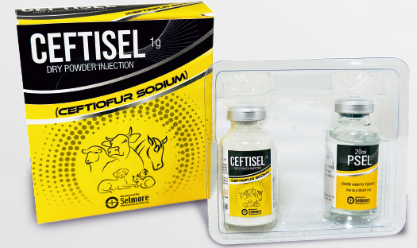 Ceftisel Dry Powder Injection 1gm