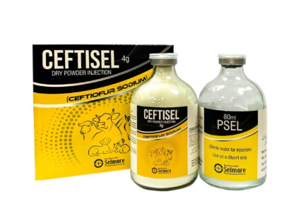 Ceftisel Dry Powder Injection 4gm