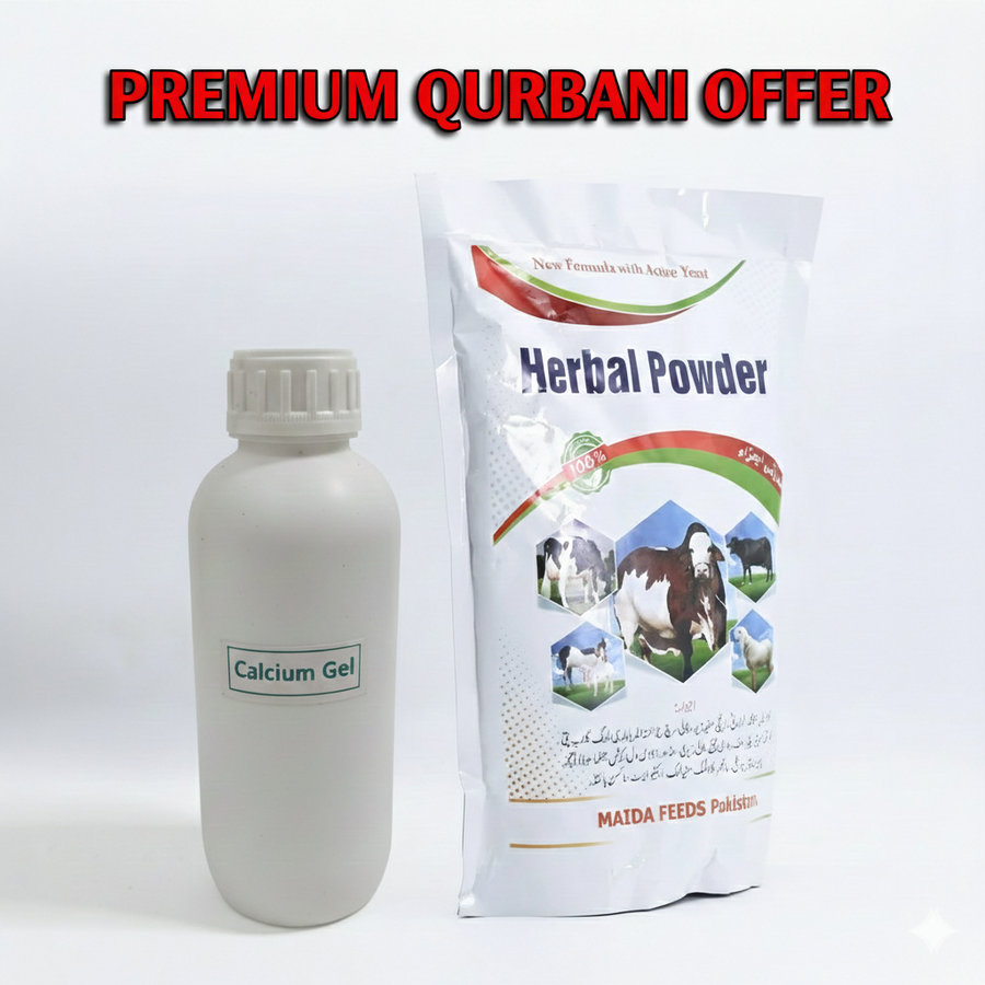 permium qurbani offer